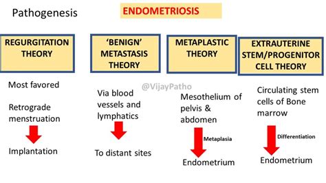 Endometriosis Pathology Made Simple