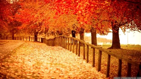 1920x1080 Hd Autumn Wallpapers 61 Images