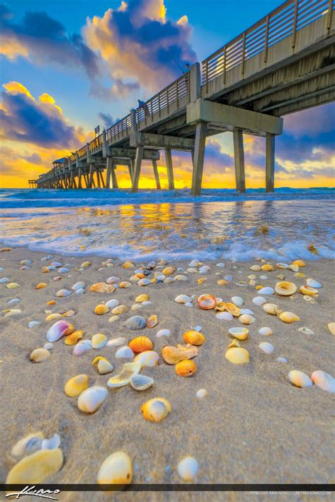 Juno Beach Pier Sunrise Shells At Atlantic Ocean Royal Stock Photo