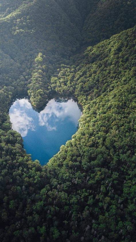 Natural Heart Shape Natural Heart Shape Heart Of Forest Hd Phone