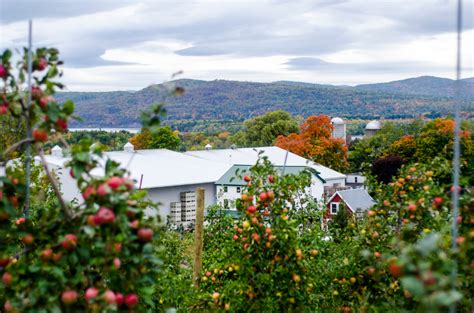 Champlain Orchards Shoreham Vermont Vermont Fall Fall Foliage