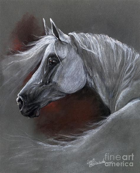 Grey Arabian Horse Soft Pastel Drawing 13 04 2013 Pastel By Angel