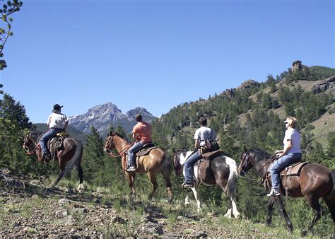 Horseback Trail Rides Codyyellowstone Country