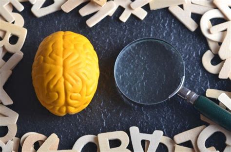 Psicología que utiliza la observación y la experimentación para extraer las leyes de los procesos mentales y de la conducta. ¿Qué es la psicología experimental? - La Mente es Maravillosa