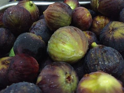 Learn how to properly prune a citrus tree with chris dunaway, extension agent for orleans parish! Fresh figs Malta | Fig fruit, Fresh figs, Fig