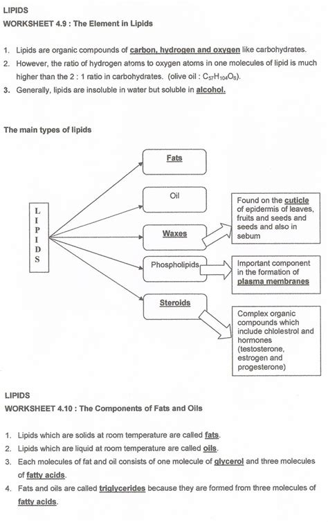 Biology Form 4 Chapter 4 Modules Answer