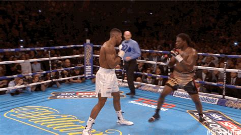 Gym Boxing  By Showtime Sports Find And Share On Giphy
