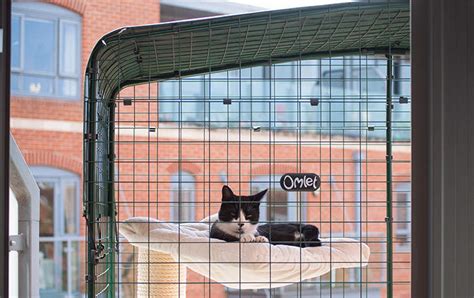 Cat Balcony Enclosure The Ultimate Urban Cat Run