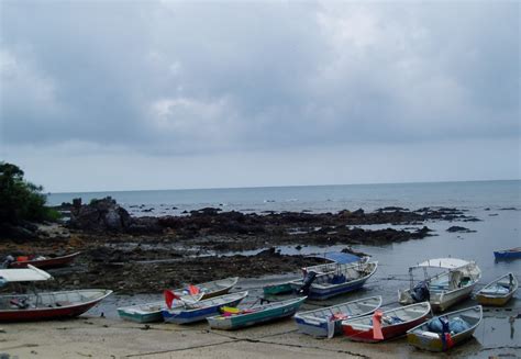 The article is long but barely scratches the surface of what's there. FREELITTLEBRAIN: Tanjung Balau - geological heritage hold ...