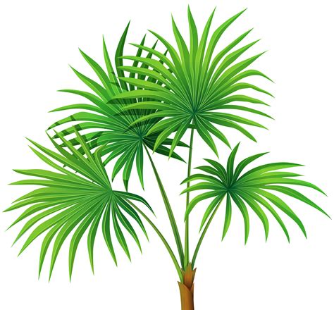 Tree jungle, green tree, tree and bushes illustration, leaf, text png. Palm Plant Transparent PNG Clip Art | Gallery Yopriceville ...