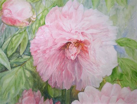 Pink Peonies Watercolor Flower Original Framed by Laurie Rohner