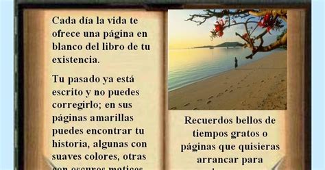 Esta gran colección de 100 frases de alegría te ayudara a reflexionar sobre como debes de tomarte algunas cosas de la vida y así mantener un estado de todas y cada una de estas citas y fotografías con frases de alegría buscan ayudarte a tener un buen estado de ánimo, de esta forma conseguirás. Frases para toda ocación: frases de alegría y optimismo