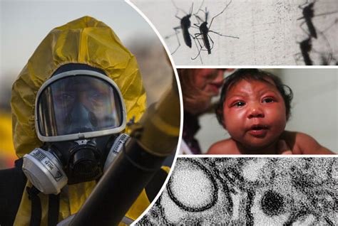 Bio Labs Selling Zika Virus Online For As Little As €600 Daily Star
