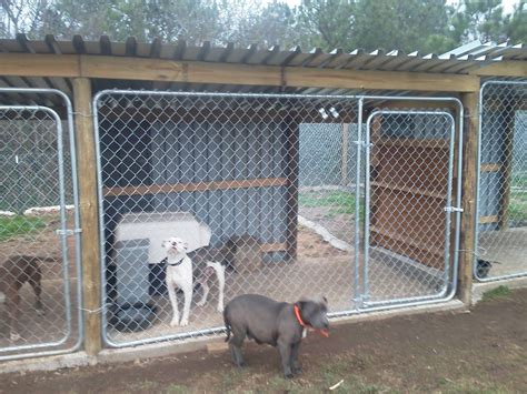 Kennel Setup With Plywood In The Middle To Prevent Fights And Dogs