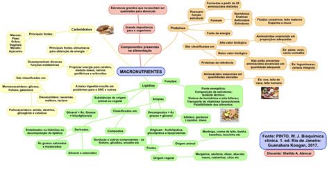 MAPA MENTAL MACRONUTRIENTES Bromatologia Alimentos e Nutrição I