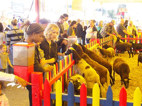 Petting Zoos — Variety Attractions
