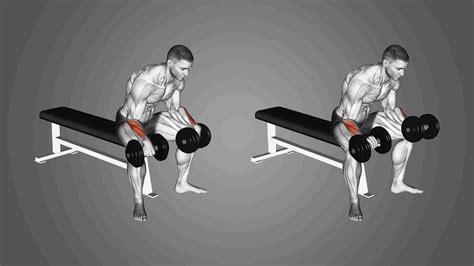 Powerful Forearm Workout With Dumbbells Unleash Your Strength