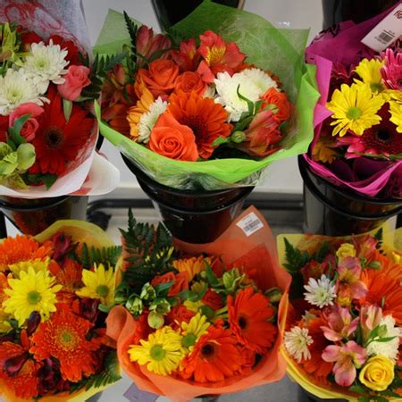 We did not find results for: Flowers - Wellington Hospital Gift Shop