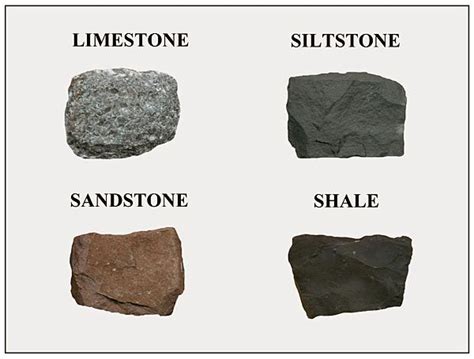 Figure 21 8 Image Showing Four Common Sedimentary Rocks Limestone