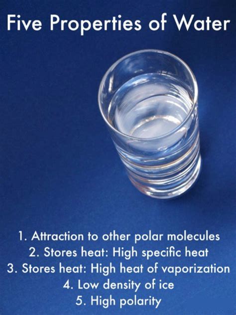 5 Properties of Water | Owlcation