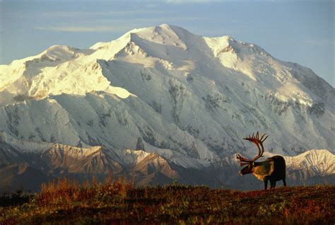 Denali National Park And Preserve Mapquest Travel