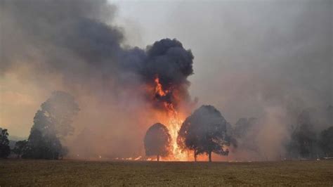 Dalam rentang waktu tersebut hingga kini, kebakaran hutan di. Kebakaran Hutan Australia Picu Badai Api