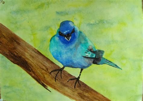 Watercolors And Words Birds Of 2014 Indigo Bunting