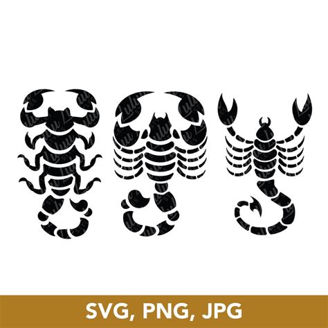 Scorpion SVG PNG Scorpion Cut Files Silhouette Clipart Etsy