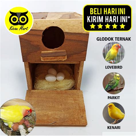 Maybe you would like to learn more about one of these? GLODOK LOVEBIRD KAYU GELODOK GLODOG SARANG TEMPAT TERNAK ...