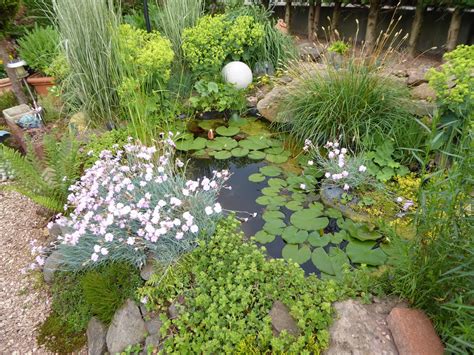 Unterhalt und pflege durch das jahr ein biotop als gartenteich bietet lebensraum im garten. Ein kleines Naturparadies, der Gartenteich