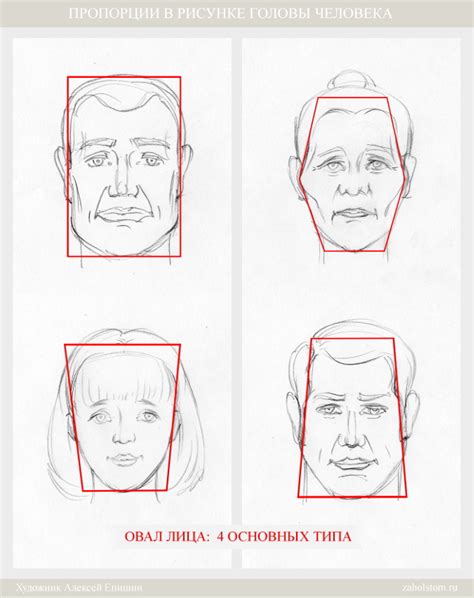 Рисование головы человека поэтапно для начинающих пропорции схема