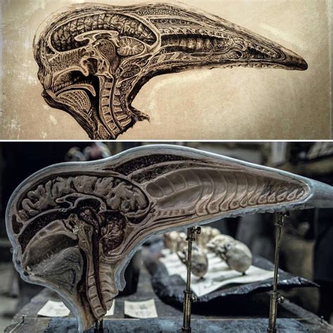 Covenant , ridley scott not only redesigned h.r giger's iconic xenomorph creature from the first movie, but also unveiled the new neomorph. Alien Explorations: Alien Covenant: Neomorph head splice