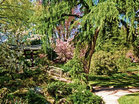 Für den japanischen garten werden auch führungen angeboten, bei denen der interessierte besucher viele hintergründe zur entstehung des gartens sowie zur symbolkraft der einzelnen gartenbereiche und gestaltungselemente erfahren kann. Japanischer Garten Leverkusen (2) Foto & Bild | natur ...