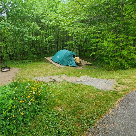 Balsam Mountain Campground The Dyrt