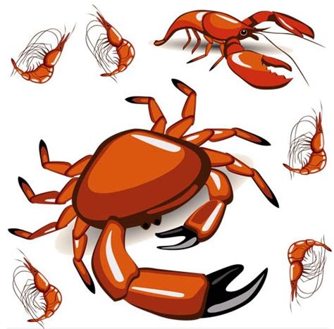 Crabs And Prawns Vector Graphics Free Download
