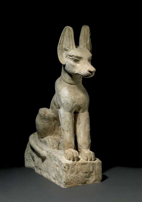 Anubis Egypt Museum Ancient Egyptian Artifacts Ancient Egyptian