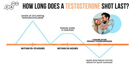 How Long Does A Testosterone Shot Last Ca Hormones
