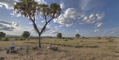 Safaris In Kenyas Meru National Park Journeys By Design