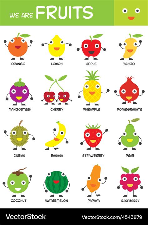 Kids Basic Fruits Chart Royalty Free Vector Image