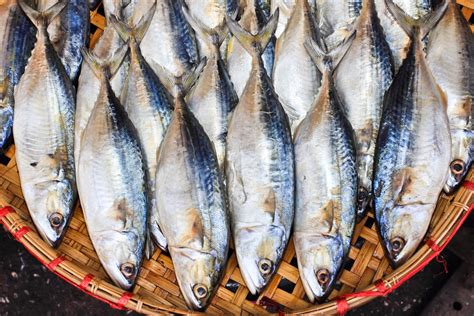 Prevent Food Poisoning 4 Tips On Buying The Best Fish