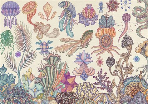 Beautiful Biology Illustrations By Katie Scott Daily Design