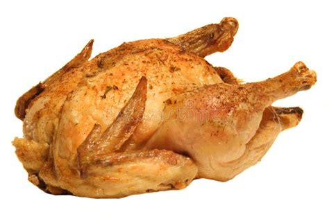 Roasted Chicken Stock Photo Image Of Object White Chicken 7703038
