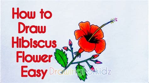 See more ideas about flower drawing, hibiscus flower drawing, hibiscus flowers. How to Draw a Hibiscus Flower 🌺 | How to Draw Hibiscus ...