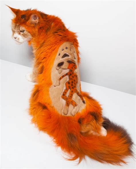 Cut flowers are those that have been picked or cut and thus dismembered from their stems. Cats dyed to look like tigers at Intergroom pet summit in ...