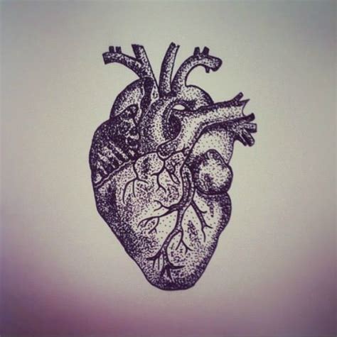 De 33 Bästa Anatomical Heart Tattoo Bilderna På Pinterest Tatueringar
