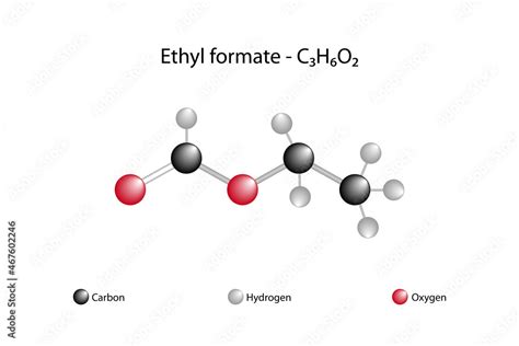 Molecular Formula Of Ethyl Formate Ethyl Formate Is An Ester Formed