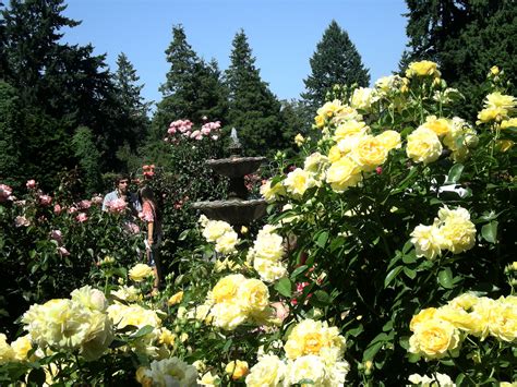 Locate your favorite store in your city. International Rose Test Garden - Urban Park in Portland ...