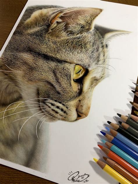 Colored Pencil Drawings Of Cats In Meticulous And Vivid Detail