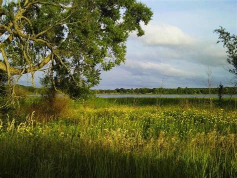 Things to do near glendalough state park. Glendalough State Park (Battle Lake) - 2020 What to Know ...