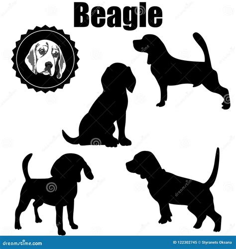 Vector Beagle Dog Silhouette Stock Vector Illustration Of Design